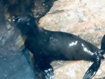 すみだ水族館に投稿された画像（2020/8/30）