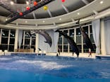 アクアワールド茨城県大洗水族館に投稿された画像（2020/8/30）