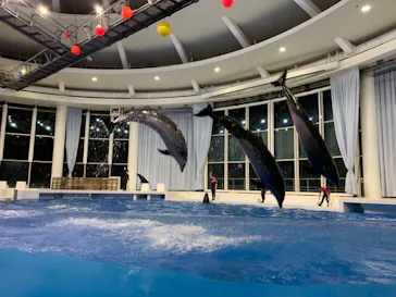 アクアワールド茨城県大洗水族館に投稿された画像（2020/8/30）