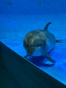 アクアワールド茨城県大洗水族館に投稿された画像（2020/8/30）