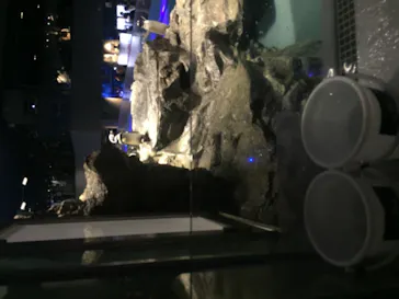 すみだ水族館に投稿された画像（2020/8/30）