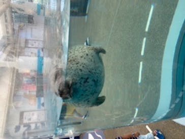 京都水族館に投稿された画像（2020/8/30）