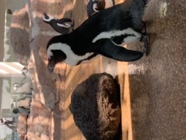 京都水族館に投稿された画像（2020/8/30）