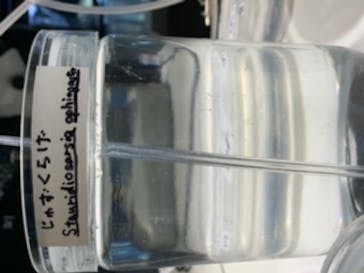 京都水族館に投稿された画像（2020/8/30）