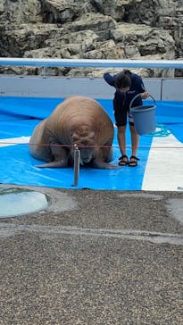 大分マリーンパレス水族館 「うみたまご」に投稿された画像（2020/8/30）
