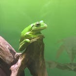 サンシャイン水族館に投稿された画像（2020/8/30）