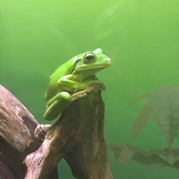 サンシャイン水族館に投稿された画像（2020/8/30）