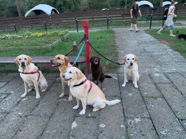 わんダフルネイチャーヴィレッジに投稿された画像（2020/8/30）