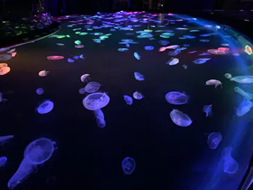 すみだ水族館に投稿された画像（2020/8/30）