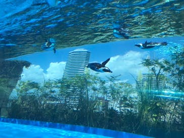 サンシャイン水族館に投稿された画像（2020/8/30）