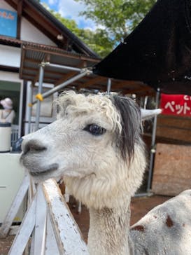 としまえんに投稿された画像（2020/8/30）