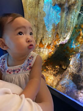 サンシャイン水族館に投稿された画像（2020/8/30）