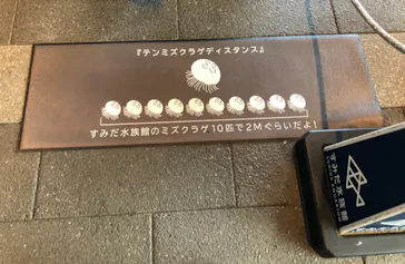 すみだ水族館に投稿された画像（2020/8/30）