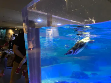 すみだ水族館に投稿された画像（2020/8/30）