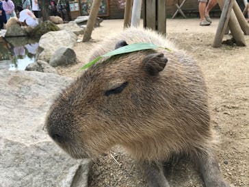 那須どうぶつ王国に投稿された画像（2020/8/30）