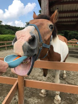 那須どうぶつ王国に投稿された画像（2020/8/30）