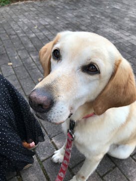 那須どうぶつ王国に投稿された画像（2020/8/30）