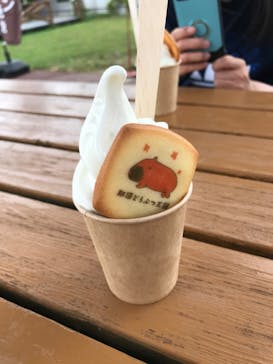 那須どうぶつ王国に投稿された画像（2020/8/30）