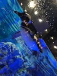 すみだ水族館に投稿された画像（2020/8/30）