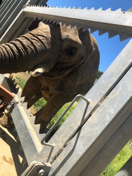 しろとり動物園に投稿された画像（2020/8/30）