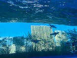 サンシャイン水族館に投稿された画像（2020/8/30）