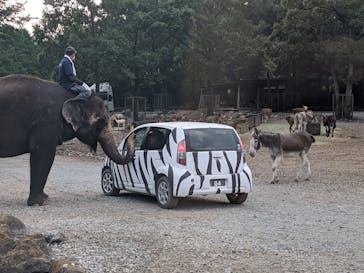 那須サファリパークに投稿された画像（2020/8/30）