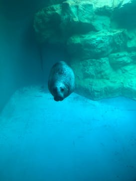 大分マリーンパレス水族館 「うみたまご」に投稿された画像（2020/8/30）
