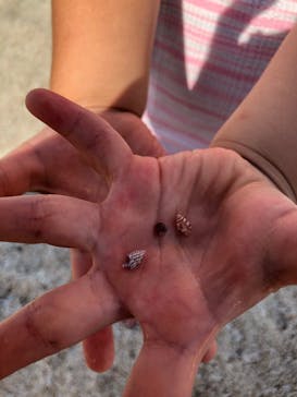 大分マリーンパレス水族館 「うみたまご」に投稿された画像（2020/8/30）