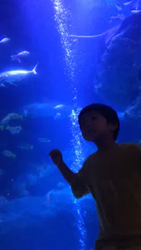 すみだ水族館に投稿された画像（2020/8/30）