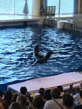 アクアワールド茨城県大洗水族館に投稿された画像（2020/8/30）