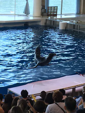 アクアワールド茨城県大洗水族館に投稿された画像（2020/8/30）