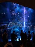 すみだ水族館に投稿された画像（2020/8/30）