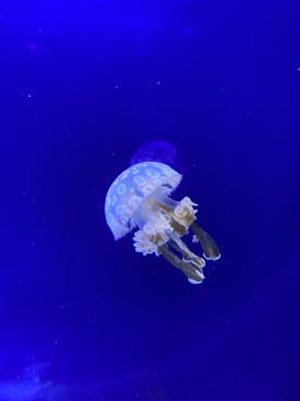 株式会社Gに投稿された画像（2020/8/30）