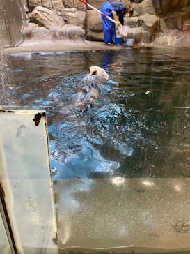 株式会社Gに投稿された画像（2020/8/30）