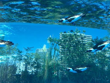 サンシャイン水族館に投稿された画像（2020/8/30）