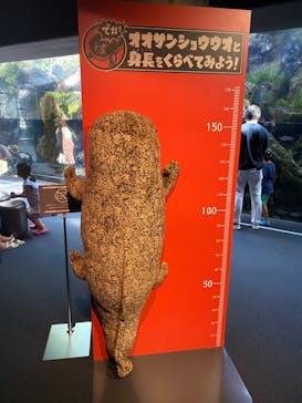 京都水族館に投稿された画像（2020/8/30）