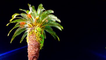 としまえんに投稿された画像（2020/8/30）