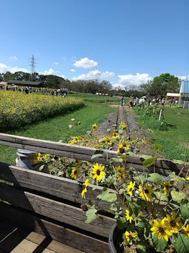 成田ゆめ牧場に投稿された画像（2020/8/30）