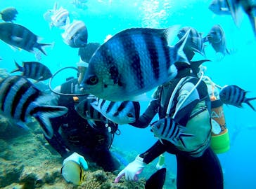 青の洞窟専門店　沖縄ダイビングショップ和に投稿された画像（2020/8/30）