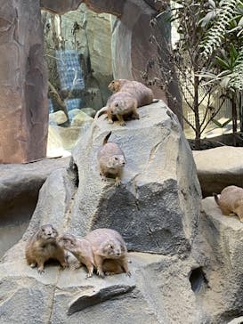 神戸どうぶつ王国に投稿された画像（2020/8/30）