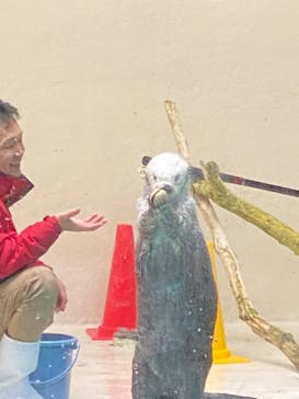 鳥羽水族館に投稿された画像（2020/8/30）