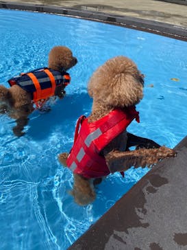 わんダフルネイチャーヴィレッジに投稿された画像（2020/8/30）