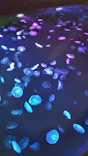 すみだ水族館に投稿された画像（2020/8/30）