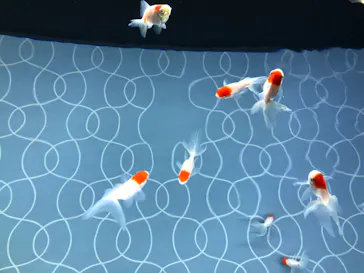 すみだ水族館に投稿された画像（2020/8/30）