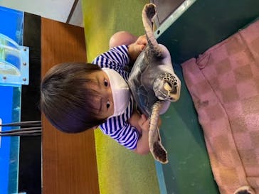 南知多ビーチランド＆南知多おもちゃ王国に投稿された画像（2020/8/30）