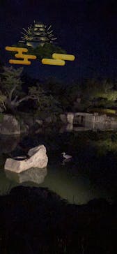 二条城×ネイキッド 二条城夏まつり2021に投稿された画像（2020/8/30）