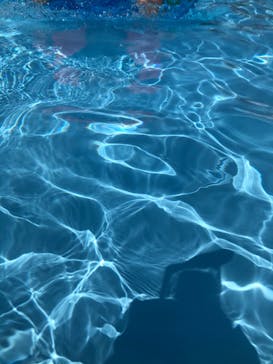 東武動物公園に投稿された画像（2020/8/30）