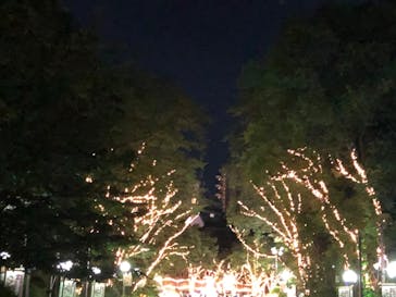 としまえんに投稿された画像（2020/8/30）