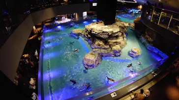 すみだ水族館に投稿された画像（2020/8/30）