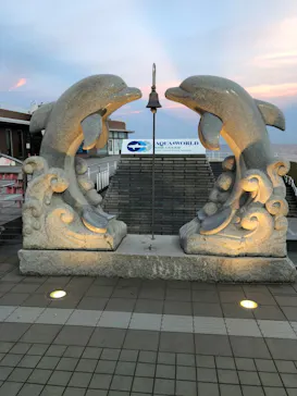 アクアワールド茨城県大洗水族館に投稿された画像（2020/8/30）